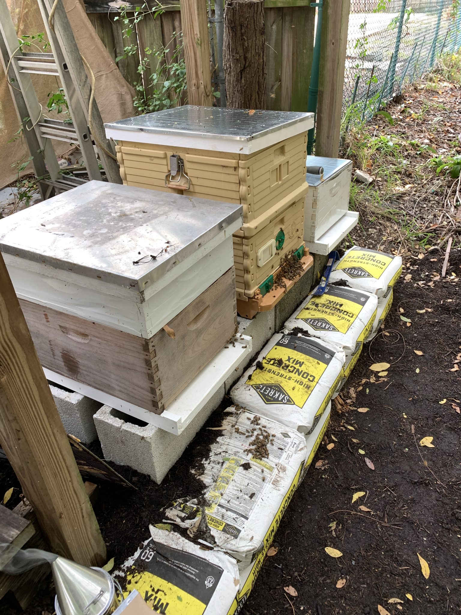 Bee Removal Specialists | The Bee Removal Specialists