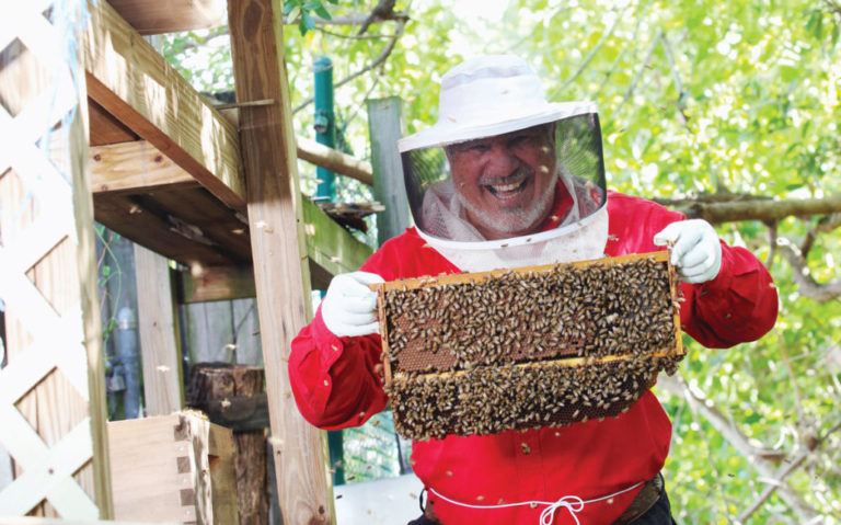 willie the bee man
